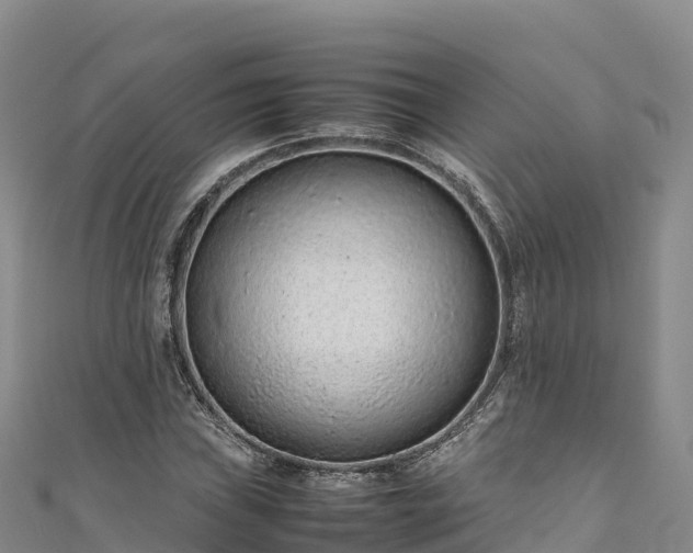 X0000111191019200907081252