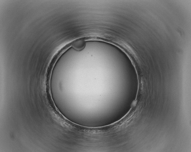 X0000111191020200907081252