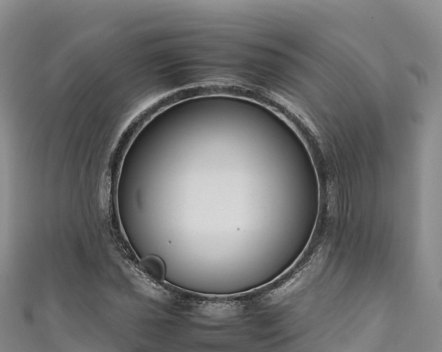 X0000111191021200907081252