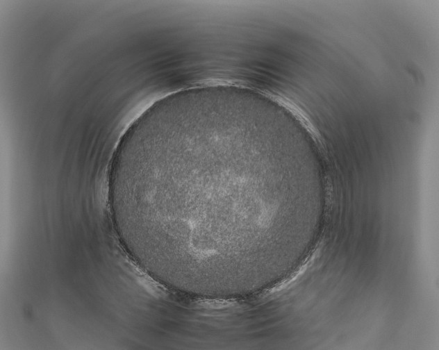 X0000111191023200907081252