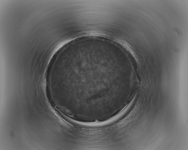 X0000111191024200907081252