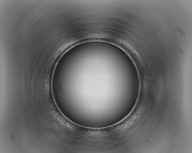 X0000111191025200907081252