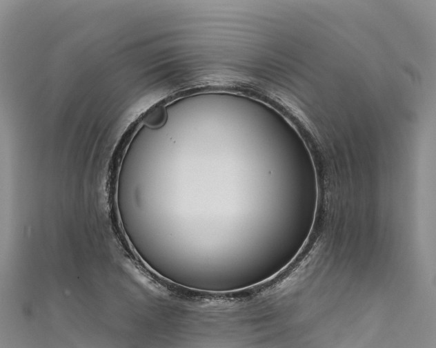 X0000111191026200907081252