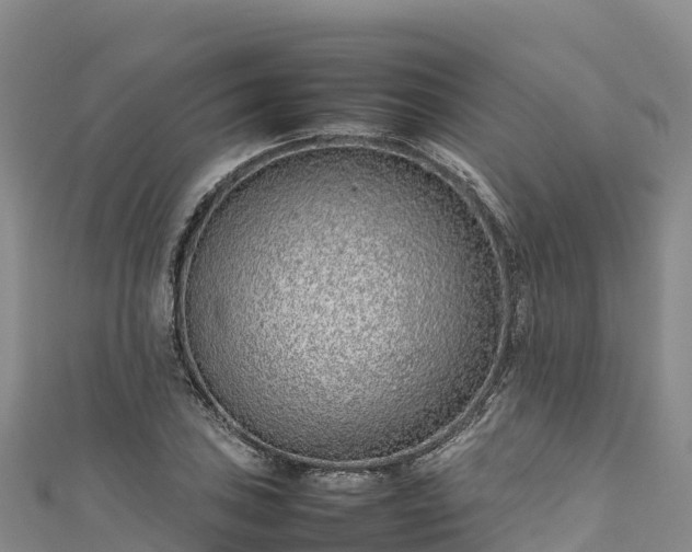 X0000111191027200907081252