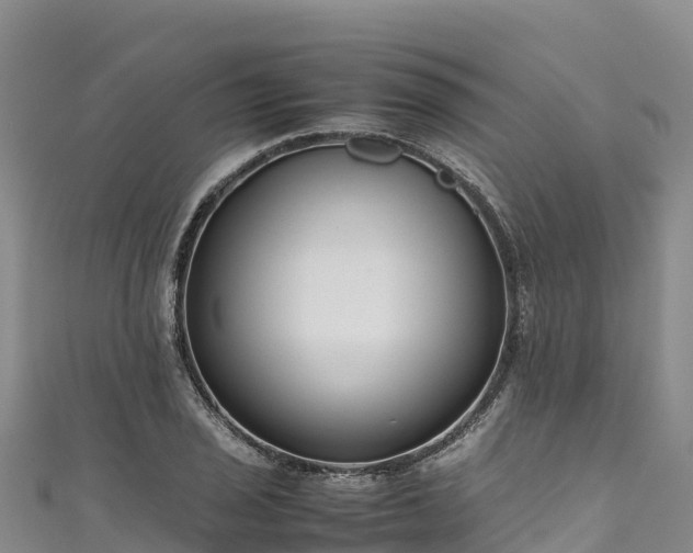 X0000111191029200907081252