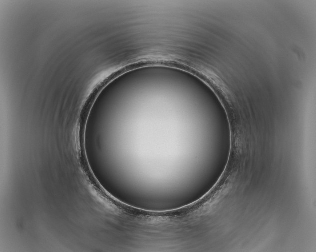 X0000111191030200907081252