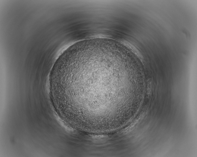 X0000111191031200907081252