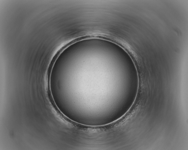 X0000111191032200907081252