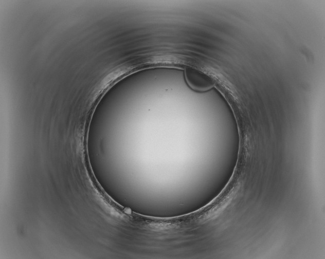 X0000111191033200907081252