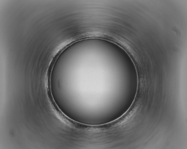 X0000111191034200907081252