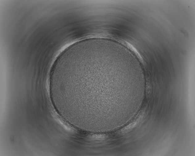 X0000111191035200907081252