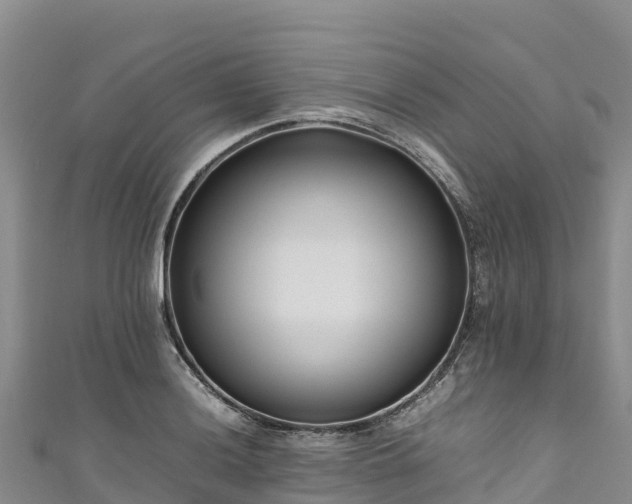 X0000111191036200907081252