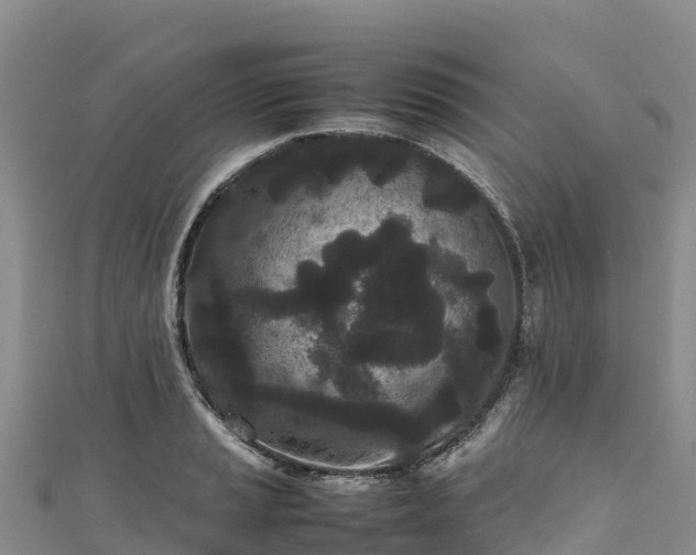 X0000111191037200907081252