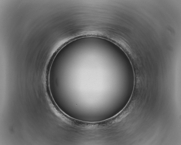 X0000111191038200907081252