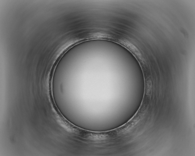 X0000111191039200907081252