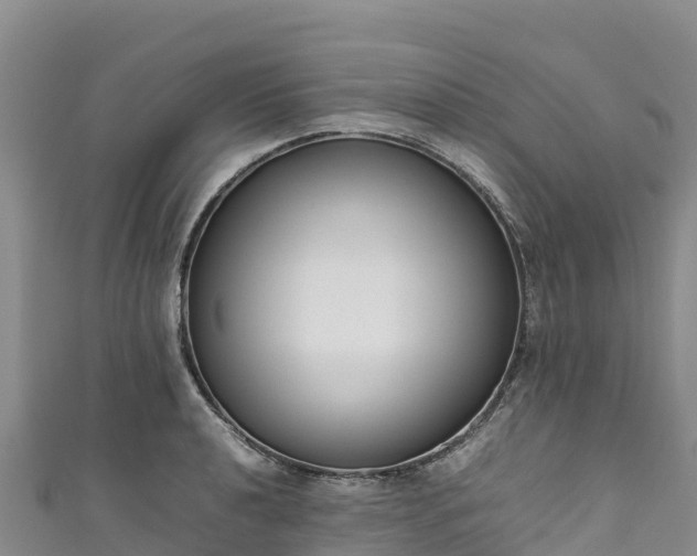 X0000111191040200907081252