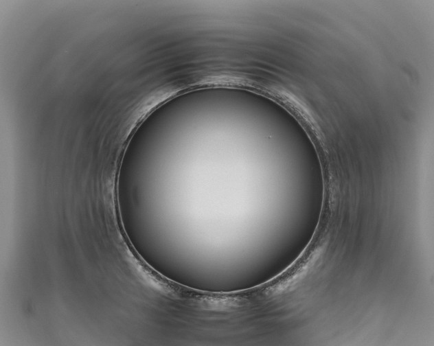 X0000111191041200907081252