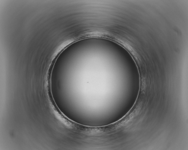 X0000111191042200907081252