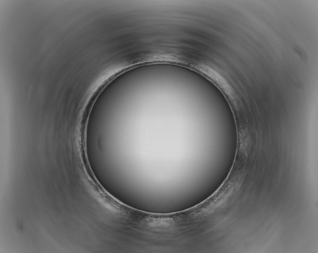 X0000111191043200907081252