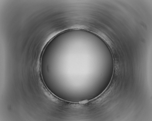 X0000111191044200907081252