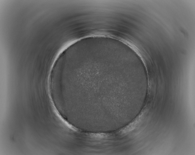 X0000111191045200907081252