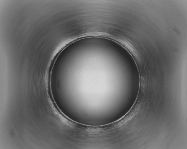 X0000111191046200907081252