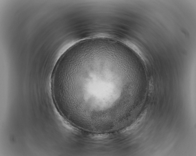 X0000111191047200907081252