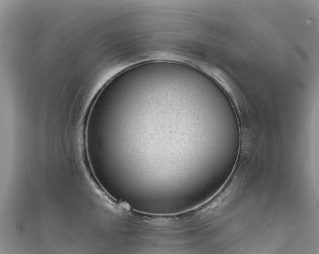 X0000111191048200907081252