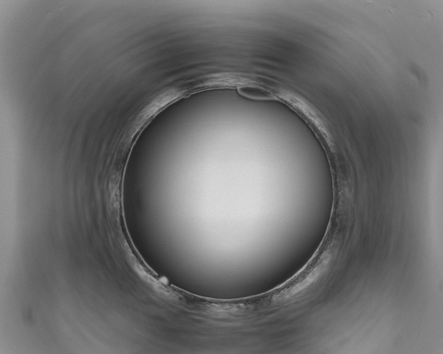 X0000111191049200907081252