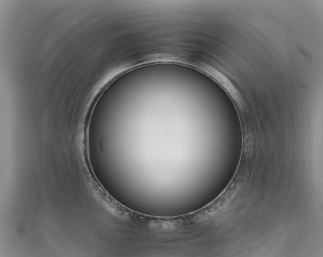 X0000111191051200907081252