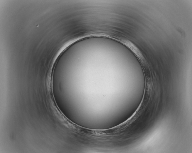 X0000111191052200907081252