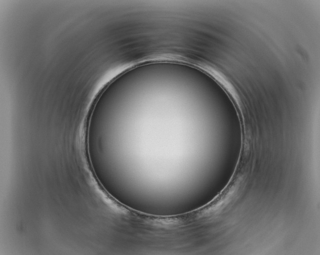 X0000111191053200907081252