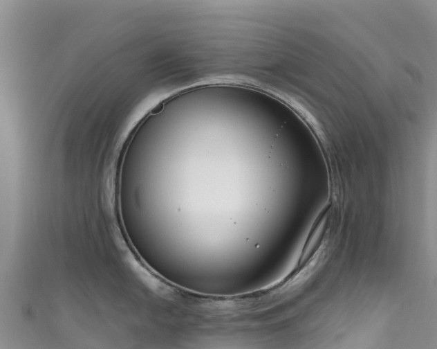 X0000111191054200907081252