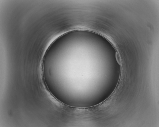 X0000111191056200907081252