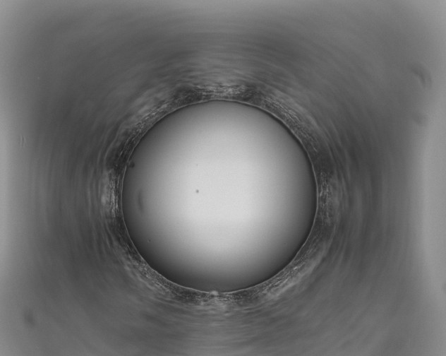 X0000111191058200907081252