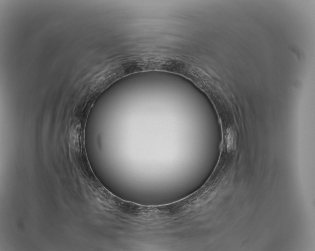 X0000111191059200907081252