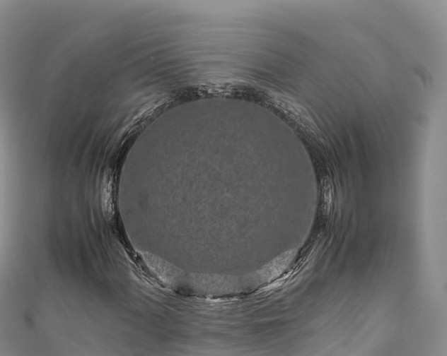 X0000111191060200907081252