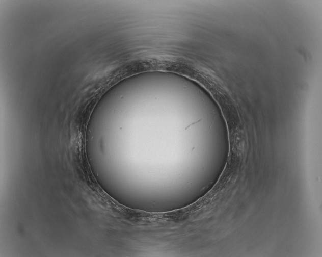 X0000111191061200907081252