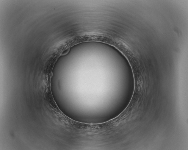 X0000111191062200907081252