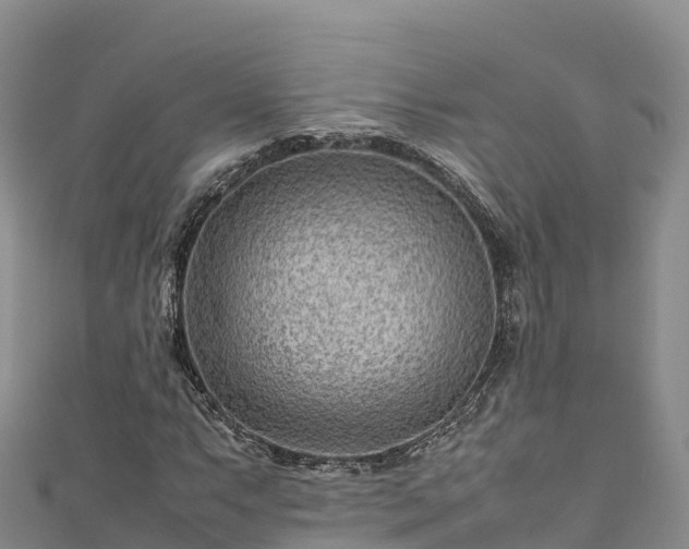 X0000111191063200907081251