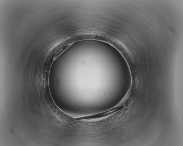 X0000111191064200907081251