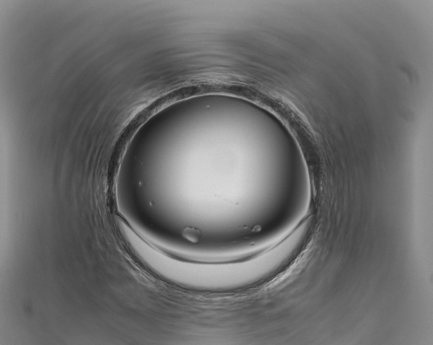 X0000111191065200907081251