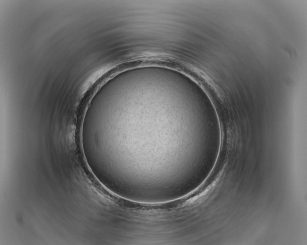 X0000111191066200907081251