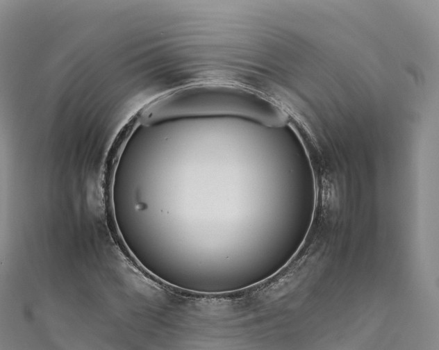 X0000111191068200907081251