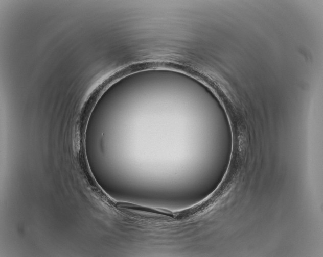 X0000111191069200907081251