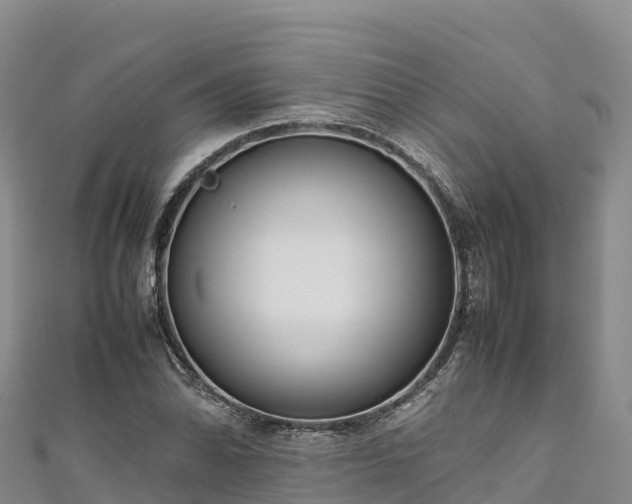 X0000111191070200907081251