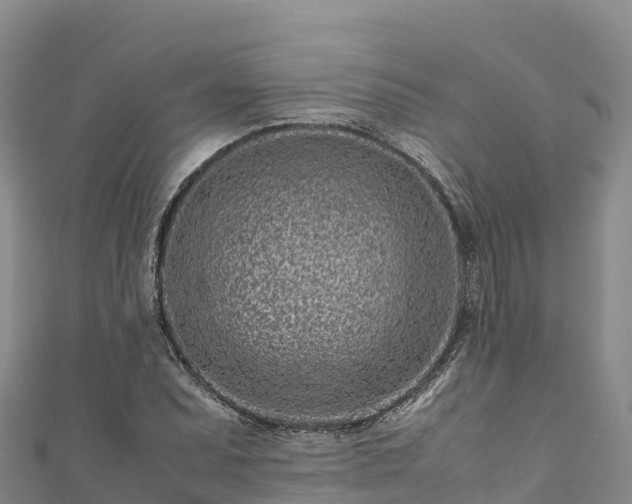 X0000111191071200907081251