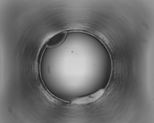 X0000111191072200907081251