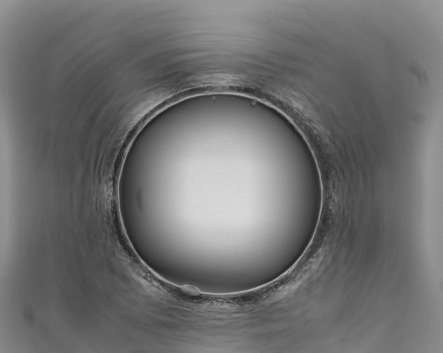 X0000111191073200907081251