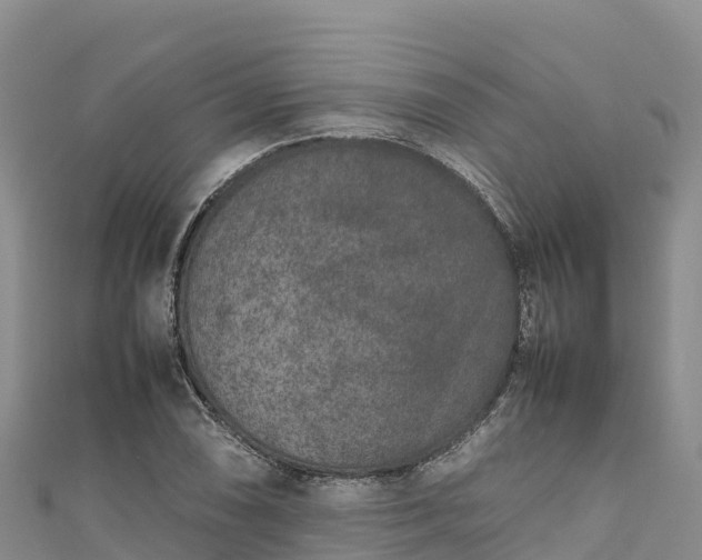 X0000111191074200907081251